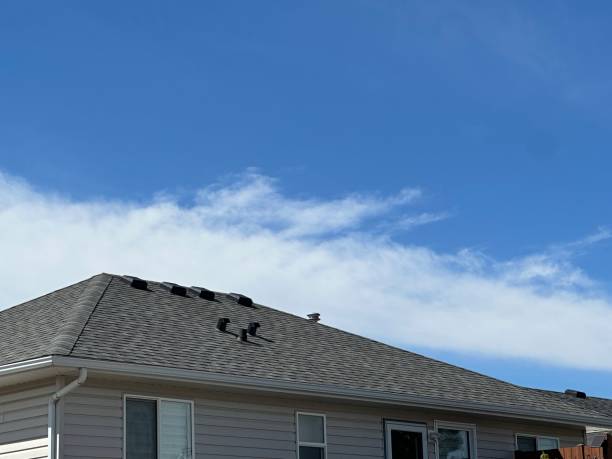 Best Solar Panel Roofing Installation  in White Plains, NC